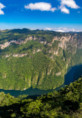 Selva Lacandona, Chiapas